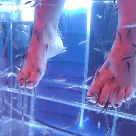 Hotel Du Beryl Bagnoles de l'Orne Normandie