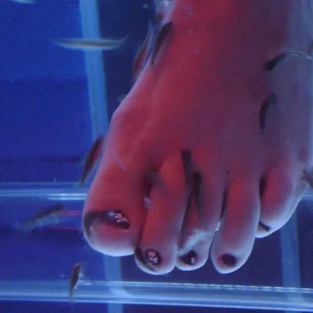 Du Beryl Hotell Bagnoles de l'Orne Normandie