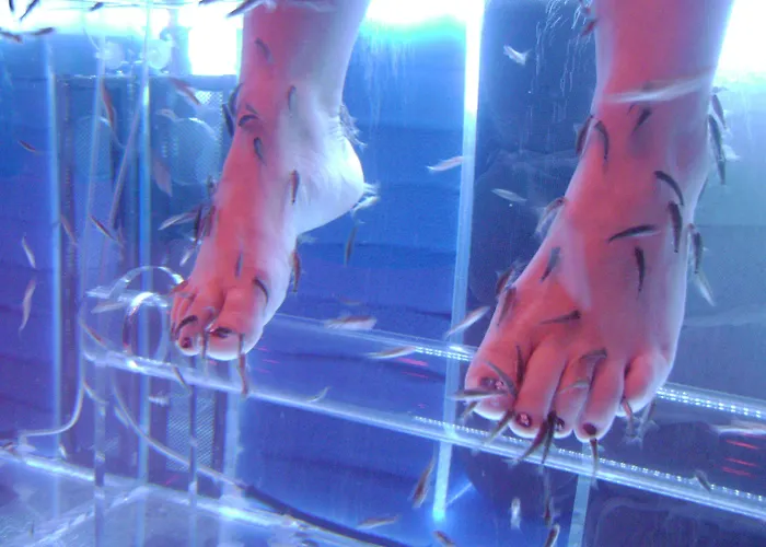 Hotel Du Beryl Bagnoles de l'Orne Normandie