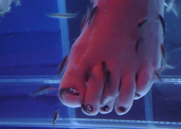 Du Beryl Hotel Bagnoles de l'Orne Normandie